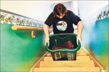  ?? Connecticu­t Health I-Team ?? Rhonda Eigabroadt, 53, of Bristol, struggles to carry a laundry basket up the stairs 23 weeks after testing positive for COVID-19.