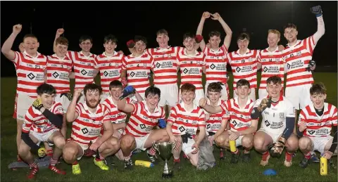  ??  ?? The Ferns St. Aidan’s squad with the spoils of success.