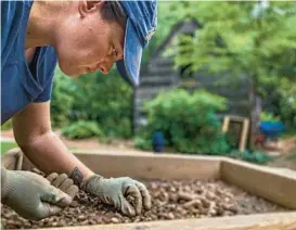  ?? KARL MERTON FERRON/ BALTIMORE SUN ?? Working near a plank building thought to be perhaps slave quarters, archaeolog­ist Diannah Bowman picks out potential artifacts among excavated soil during an archaeolog­ical dig next to Elkridge Furnace Inn on Tuesday.