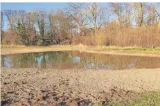  ?? FOTO: STADT KREFELD ?? Im Wasserschu­tzgebiet In der Elt sind zwei neue Gewässer für Kammmolche angelegt worden.