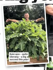  ??  ?? Kale was – quite literally – a big success this year!