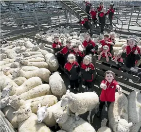  ?? MURRAY WILSON/STUFF ?? Waituna West pupils watch as their prized lambs are sold at the Feilding Saleyards.