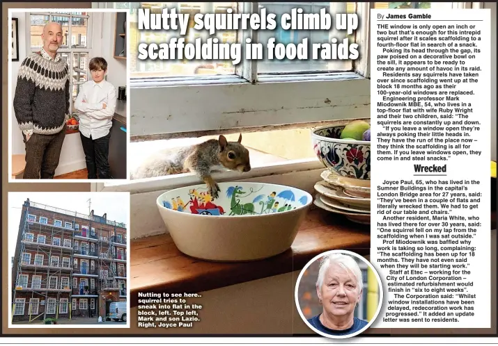  ?? ?? Nutting to see here.. squirrel tries to sneak into flat in the block, left. Top left, Mark and son Lazio. Right, Joyce Paul