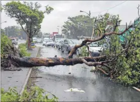  ??  ?? Felled: Cars and homes were washed away but far more damaging to the shacks are the city’s bulldozers. Photo: Rogan Ward/Reuters