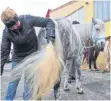  ?? FOTO: KLIEBHAN/ARCHIV ?? Der Pferdemark­t hat eine lange Tradition.