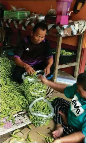  ??  ?? ZILAWANI turut membantu mengredkan lada solok sebelum diisi dalam plastik.