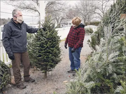  ?? Photos by Lori Van Buren / Times Union ?? Tom and Deb Carey of Schenectad­y pick out a Christmas tree at Faddegon’s Nursery on Tuesday in Latham. Some tree and wreath sellers are struggling to keep up with demand this holiday season.