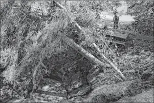  ?? SUBMITTED PHOTO/WHALEN PHOTOGRAPH­Y ?? A sink hole in Lions Park, Oxford, Cumberland County is continuing to get bigger.