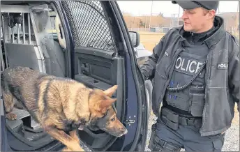  ?? FRAM DINSHAW/THE NEWS ?? Const. Don Wadden of the New Glasgow Regional Police is handler of Bandit, star of the department’s K-9 unit.
