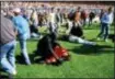  ?? THE ASSOCIATED PRESS FILE ?? Police, stewards and supporters tend and care for wounded supporters on the pitch at Hillsborou­gh Stadium in this photo from April 15, 1989, in Sheffield, England.