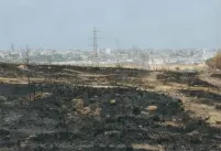  ?? (Marc Israel Sellem/The Jerusalem Post) ?? A BURNED field next to the Gaza border, earlier this month.