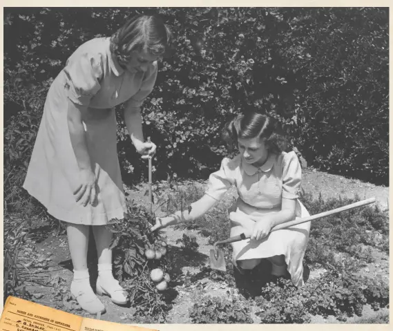  ??  ?? Above: Princesses Elizabeth and Margaret working on their allotment in the grounds of Windsor Castle in 1943. Left: ration books from 1941 to 1948