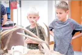  ?? LNP/LancasterO­nline ?? Owen Newmoyer, 8, of Ephrata, left, and his brother Miles Newmoyer, 12, check out elk antlers inside Pennsylvan­ia Game Commission’s new Conservati­on Heritage Museum opened in the visitor's center at Middle Creek Wildlife Management Area Saturday June 25, 2022.