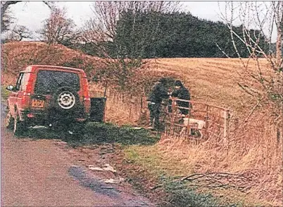  ??  ?? This picture of two men with a lurchertyp­e dog in a field at a farm in Eassie was presented in court.