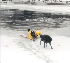  ?? — Photos by Mark Becraft ?? After rescue crew members pulled eadley and Bob out of the waterI the dog shook off the water and ran to be hugged by his family.