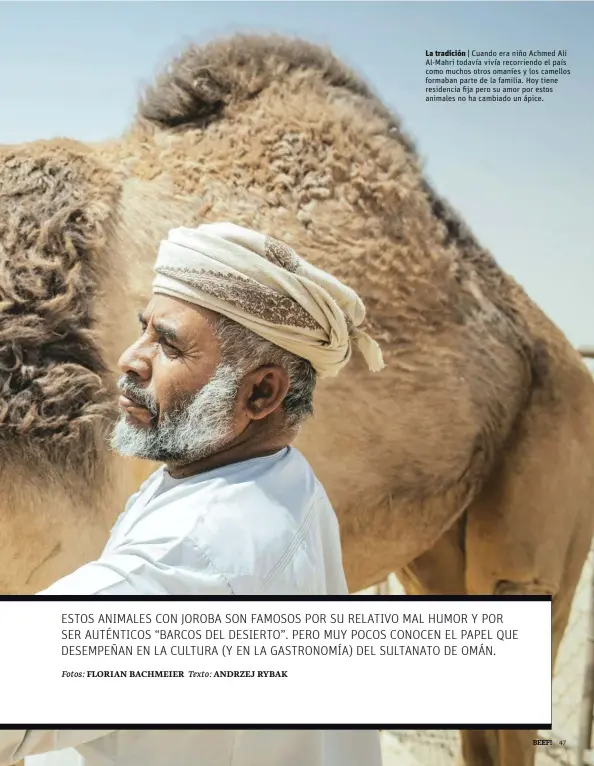  ??  ?? La tradición | Cuando era niño Achmed Ali Al-Mahri todavía vivía recorriend­o el país como muchos otros omaníes y los camellos formaban parte de la familia. Hoy tiene residencia fija pero su amor por estos animales no ha cambiado un ápice.