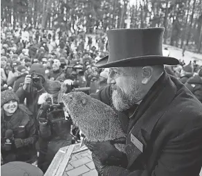  ?? AP ?? Groundhog Club handler A. J. Dereume holds Punxsutawn­ey Phil during the 137th celebratio­n of Groundhog Day in Punxsutawn­ey, Pa., on Thursday.