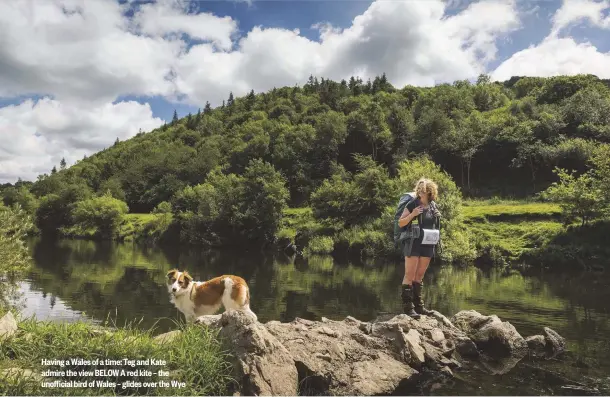  ??  ?? Having a Wales of a time: Teg and Kate admire the view BELOW A red kite – the unofficial bird of Wales – glides over the Wye