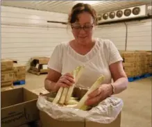  ?? TIFFANY MAYER, SPECIAL TO THE HAMILTON SPECTATOR ?? Leasa Janssen packing Spargel, which must be peeled before cooking.