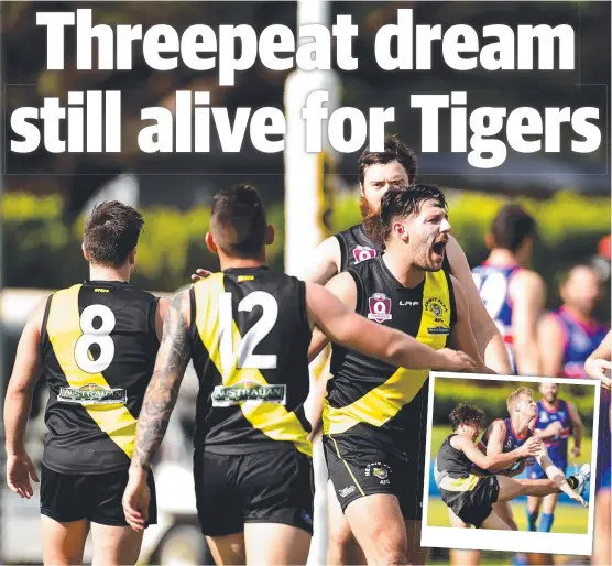  ?? Pictures: ALIX SWEENEY ?? SWEET VICTORY: Hermit Park Tigers’ Matthew Steiner (right) celebrates with teammates after defeating the Thuringowa Bulldogs in Saturday’s AFLT preliminar­y final at Riverway Stadium. INSET: Tigers’ Callaway Parker gets a kick away under pressure from Bulldogs’ Samuel Walker.