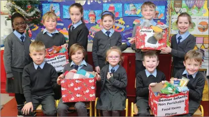  ??  ?? Children representi­ng Junior Infants, Senior Infants, First and Second Classes pictured with some of the items they brought in for the Christmas Charity Collection at Dromahane National School. Photos by Sheila Fitzgerald