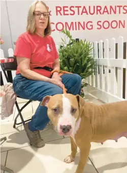  ?? South Suburban Humane Society volunteer Dana Cortez with pit bull River. ??