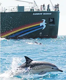  ?? PHOTO COURTESY OF GREENPEACE ?? Dolphins swim near the original Rainbow Warrior vessel in the Cook Strait of New Zealand.