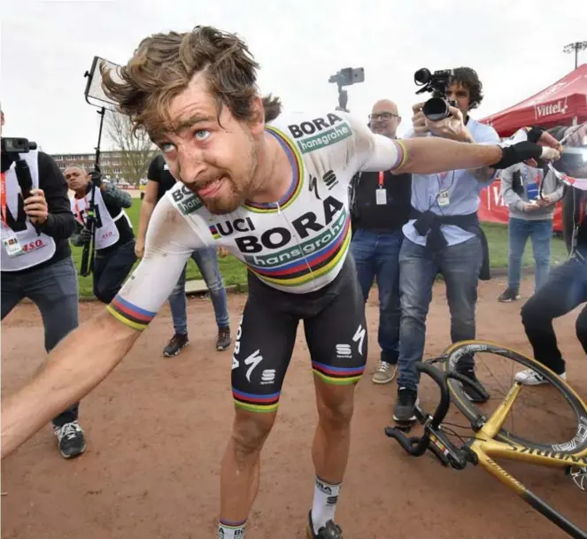  ?? FOTO BELGA ?? Zo doet een groot artiest dat. Met een diepe buiging groet Peter Sagan zijn criticaste­rs.