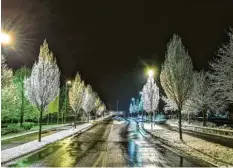  ??  ?? Der Schnee fiel in einer windstille­n Nacht mit großen sanften Flocken. Das kontrast‰ reiche Bild hat Markus Betzl in Untermeiti­ngen aufgenomme­n.