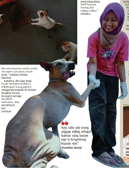 Rancang Bina Lebih Banyak Hospital Veterinar Pressreader