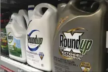  ?? AP FILE ?? Containers of Roundup are displayed on a store shelf in San Francisco in 2019. A federal appeals court has rejected a Trump administra­tion finding that glyphosate, the active ingredient in the weed killer Roundup, does not pose a serious health risk and is ‘not likely’ to cause cancer in humans.