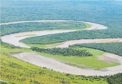  ??  ?? Majestuoso. “Es el bosque seco más grande del mundo y se estaba destruyend­o”, dijo Parques Nacionales.