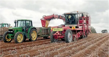  ?? PHOTO: SUPPLIED ?? Record rainfall and housing developmen­t are putting pressure on potato growers.