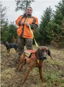  ??  ?? Peu commun ! Un rouge de Bavière dans la traque se mêle aux un peu plus habituels kopov, courants slovaques.