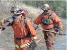  ?? AP ?? Firefighti­ng inmates are put to work clearing brush in Calistoga, California.