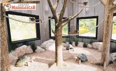  ?? LEHIGH VALLEY ZOO ?? Lehigh Valley Zoo on Wednesday announced plans for“Habitat Madagascar,” a new, indoor/outdoor habitat for lemurs and tortoises.