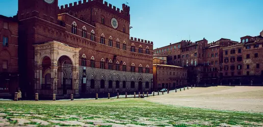  ??  ?? Niente tufo La gramigna che era nata ad aprile in Piazza del Campo durante l’isolamento imposto dal coronaviru­s