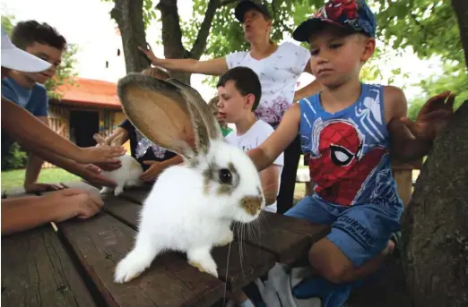  ??  ?? Po taboru lahko nekateri otroci zajčke odnesejo domov.