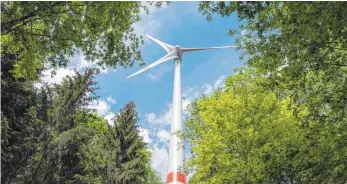  ?? FOTO: ARMIN WEIGEL ?? Ein Jahr lang haben die Balgheimer um eine Position in Sachen Windkraft gerungen.