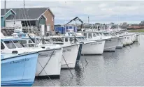  ?? ?? It cost nearly $1 million to dredge the Malpeque Harbour in 2022. Since 2021, the DFO and the Malpeque Harbour Steering Committee have been in talks to find a more long-term solution for fishers.