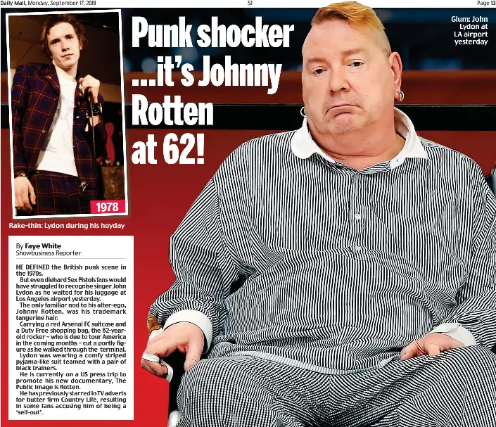 Daily rotten essay picture