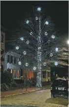  ??  ?? A well-decorated tree on Maryland Avenue.