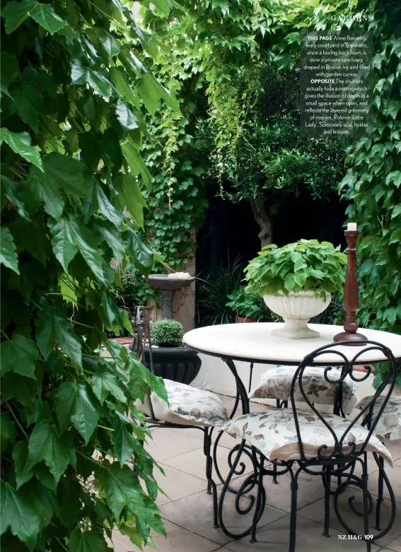  ??  ?? THIS PAGE Anne Bassett’s leafy courtyard in Blenheim, once a boring back lawn, is now a private sanctuary draped in Boston ivy and filled with garden curios. OPPOSITE The shutters actually hide a mirror which gives the illusion of depth in a small space when open, and reflects the layered greenery of maples, Robinia ‘Lace Lady’, Solomon’s seal, hostas and liriopes.