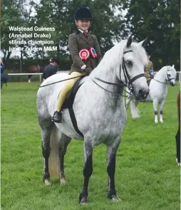  ??  ?? Walstead Guiness (Annabel Drake) stands champion junior ridden M&M