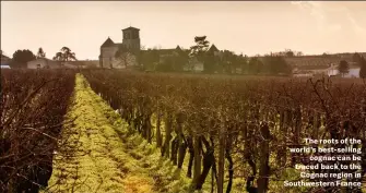  ??  ?? The roots of the world’s best-selling cognac can be traced back to the Cognac region in Southweste­rn France
