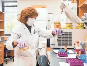  ?? STEPHANIE AMADOR/USA TODAY NETWORK ?? Lab manager Rita Smith processes blood samples as part of a Moderna COVID-19 vaccine trial at Vanderbilt University Medical Center in Nashville on Nov. 9, 2021.