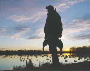  ?? PHOTOS BY KEITH SUTTON/ CONTRIBUTI­NG PHOTOGRAPH­ER ?? Learning to avoid bad habits can help any duck hunter take home more birds for the table.