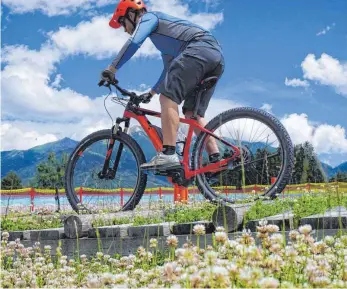  ??  ?? Über Bretter und Stämme: Im E-Bike-Park lernen die Teilnehmer mit der Kraft des Motors klarzukomm­en.