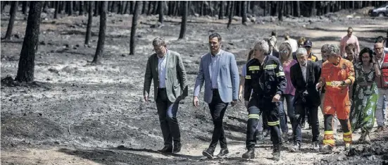  ?? Foto: dpa ?? Es brennt im Wald und an den politische­n Fronten. So hätte sich Pedro Sánchez das Ende der Sommerpaus­e nicht vorgestell­t.
