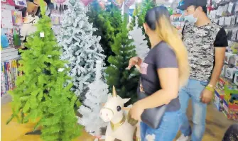  ?? WENDY LAZCANO ?? A siete semanas de Navidad comienzan a vender los pinos